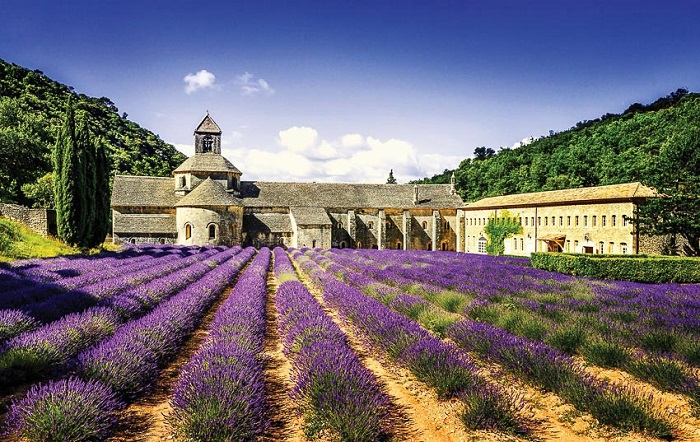 Du khách đến đây rất yêu thích “đặc sản” hoa oải hương cũng như khung cảnh nông thôn Avignon vào mùa hè đẹp say lòng người. Ảnh: Travel Away